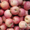 Fresh Red FUJI Apple